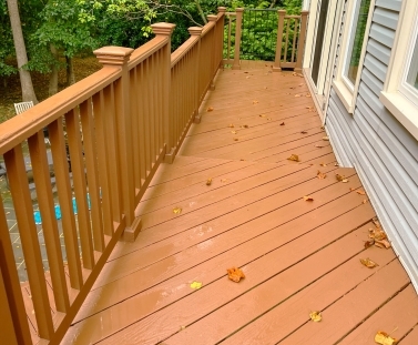 gallery image 41